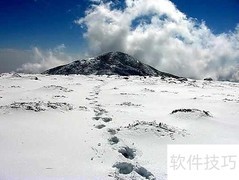 2002年的第一场雪歌名揭秘