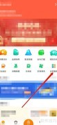 车点点查看检测站方法
