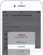 App Store变英文怎么办