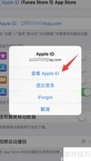 App Store和iTunes变英文？