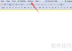 关闭Validator结果窗口高亮