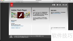 更新Mac版Safari Flash插件