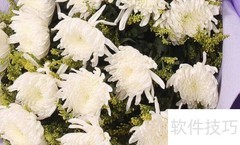 鲜花批发入门指南