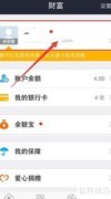支付宝如何查看登录记录