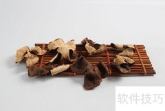 老树陈皮：特点与定义