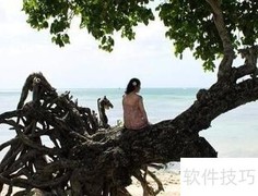 老树养护要点