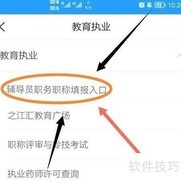 校外辅导员简介填写指南