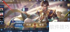 王者荣耀比赛荣誉展示方法