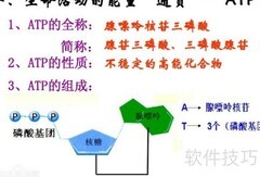 ATP生成的三种主要方式