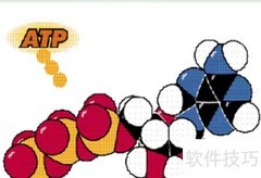 ATP生成的三种主要方式