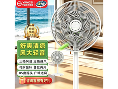 扬子20叶落地扇，到手低至48.96元！