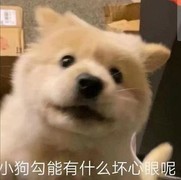 修仙家族模拟器：新手暴力入门指南