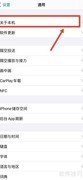 苹果手机机身串号查询指南