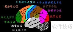 中医按摩辅助治疗弱视
