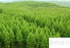 塞罕坝林场地理位置揭秘