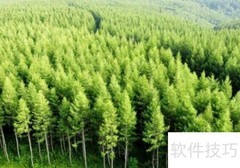 塞罕坝林场地理位置揭秘