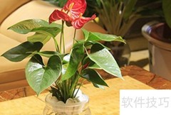 林场发展森林旅游的路径