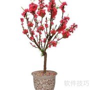 寿星桃花盆景养护技巧