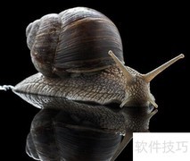 蜗牛与蚯蚓的异同对比
