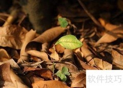 家庭自制有机肥指南