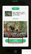 蚂蚁森林森友会参与指南