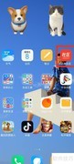 小米社区实用工具查找指南