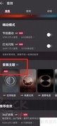 网易云音乐音画主题设置方法
