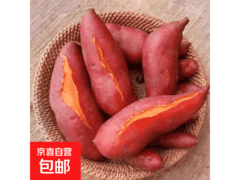六鳌蜜薯10斤装，用券3.98元包邮，带2斤小果