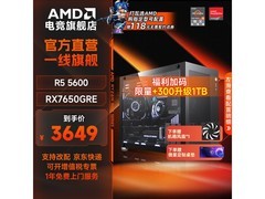 AMD R5-5600电竞台式机4299