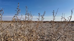 廿载公益路 初心向未来：兄弟（中国）与合作伙伴共建20周年纪念林