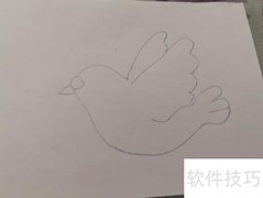 小信鸽简笔画教程