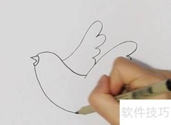 信鸽简笔画教程