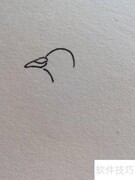 信鸽简笔画教程