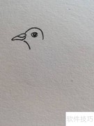 信鸽简笔画教程