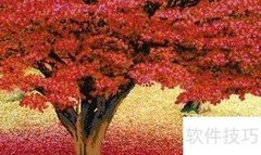 八字与财源管理之道