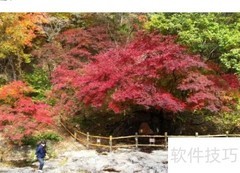 长江邮轮旅游全攻略