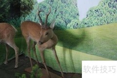 企业建站避坑指南