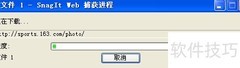 一键抓取网页全部图片