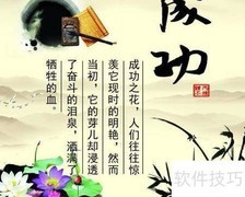 预收与预付款项解析