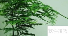 室内花木巧摆设技巧