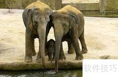 别在孩子面前隐藏对伴侣的爱
