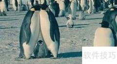别在孩子面前隐藏对伴侣的爱