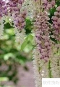 监理施工关键要点36条