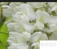 监理施工关键要点32