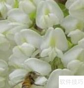 监理施工关键要点32
