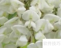 监理施工关键要点32