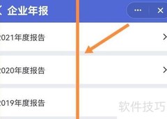 企业年报查询与打印指南