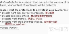 WordPress博客防复制技巧