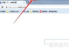 Poster接口测试入门指南