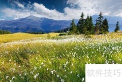民营企业财务管理问题探析